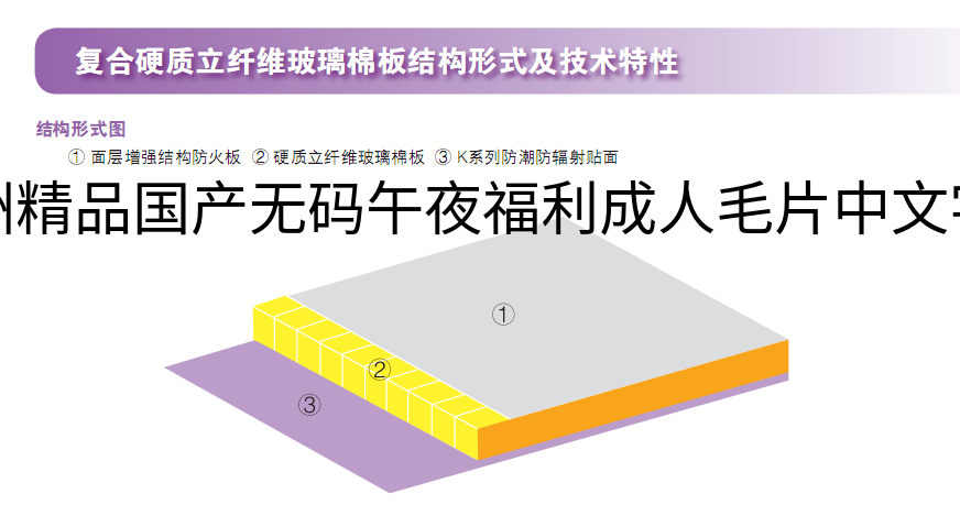 亚洲精品国产无码午夜福利成人毛片中文字幕