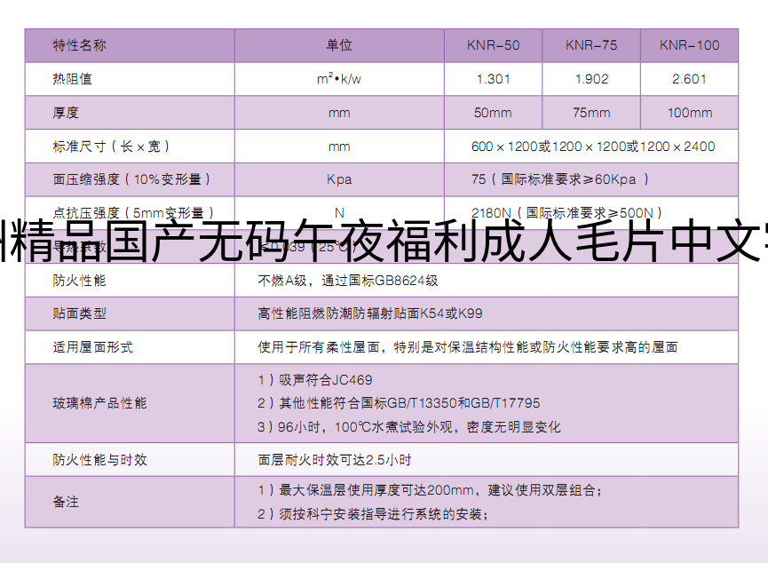 亚洲精品国产无码午夜福利成人毛片中文字幕